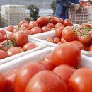 Ограничения поставок овощей из двух областей Казахстана